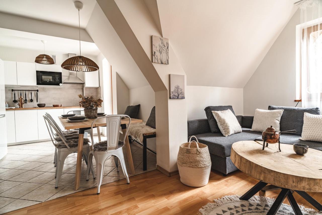 Apartamenty Shanta Kościelisko Exteriér fotografie